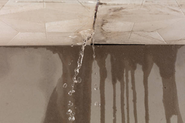 Professional Water Extraction technician working in Fawnskin, CA
